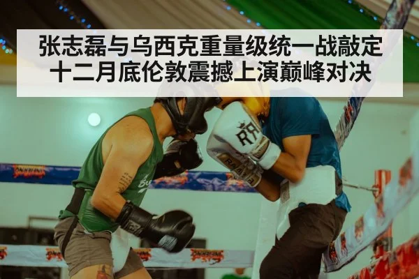 张志磊与乌西克重量级统一战敲定十二月底伦敦震撼上演巅峰对决